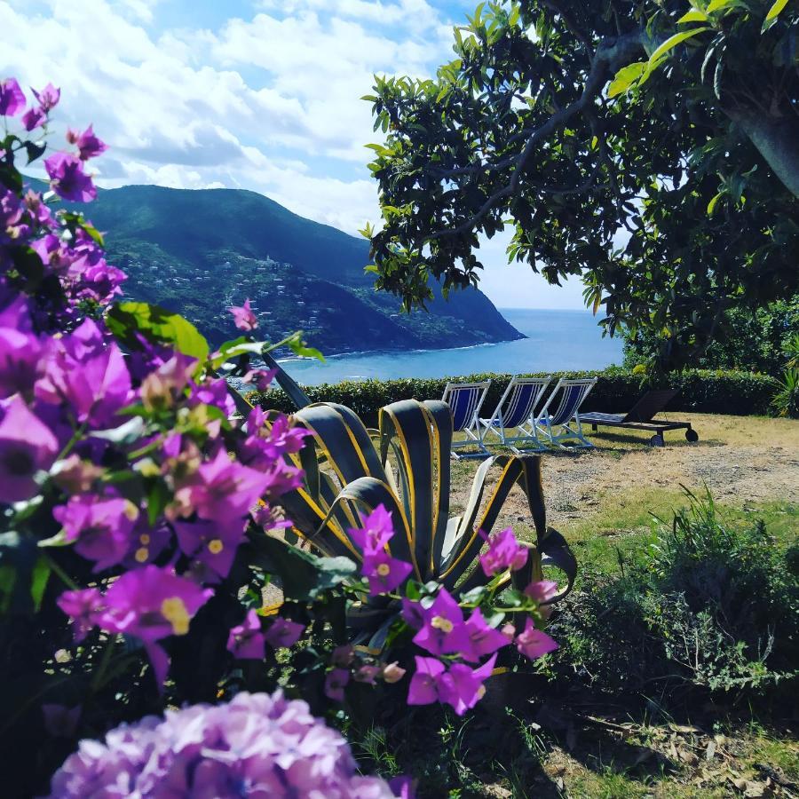 Villa Venino Moneglia Exteriér fotografie