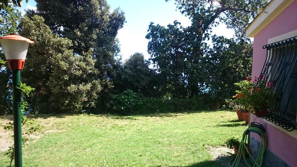 Villa Venino Moneglia Exteriér fotografie