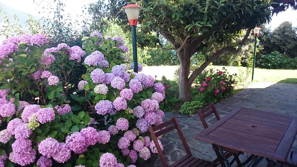 Villa Venino Moneglia Exteriér fotografie