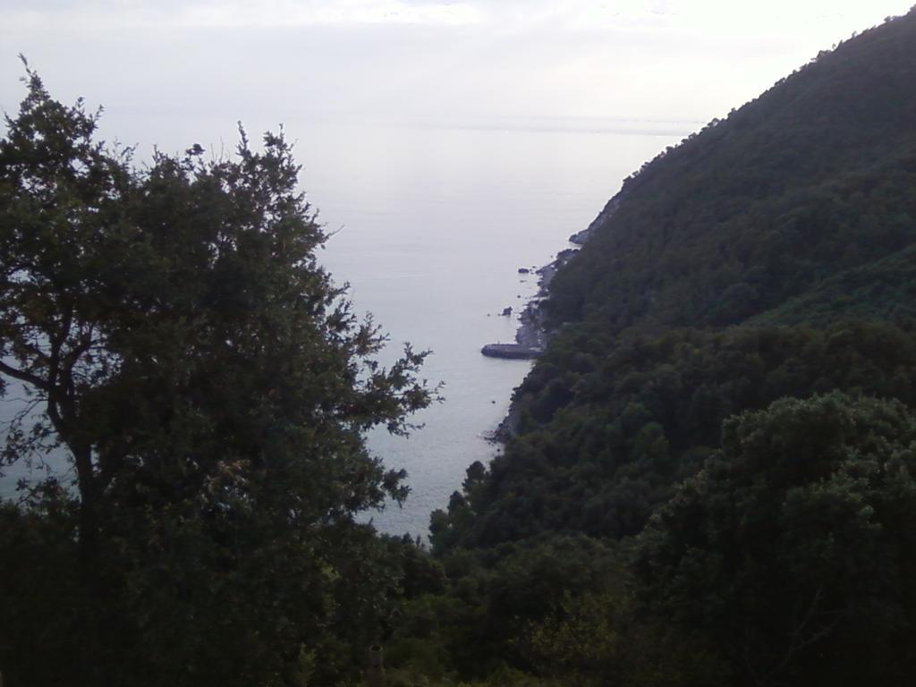 Villa Venino Moneglia Exteriér fotografie